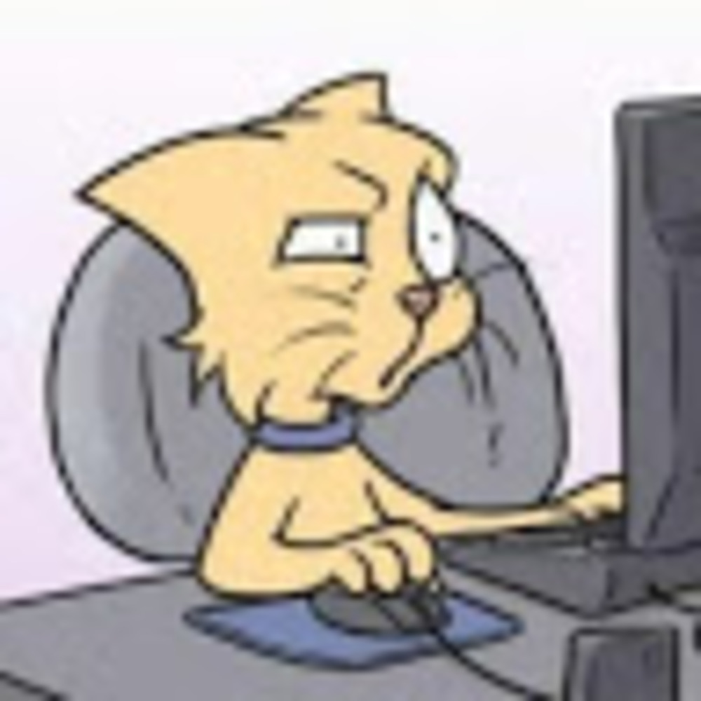 Meet your Posher, Iona